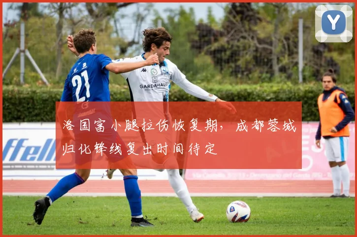 洛国富小腿拉伤恢复期，成都蓉城归化锋线复出时间待定
